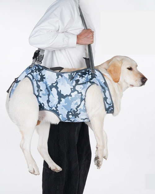 Man lifting a large yellow Labrador by the handle of a blue camo full-body harness, all four legs off the ground