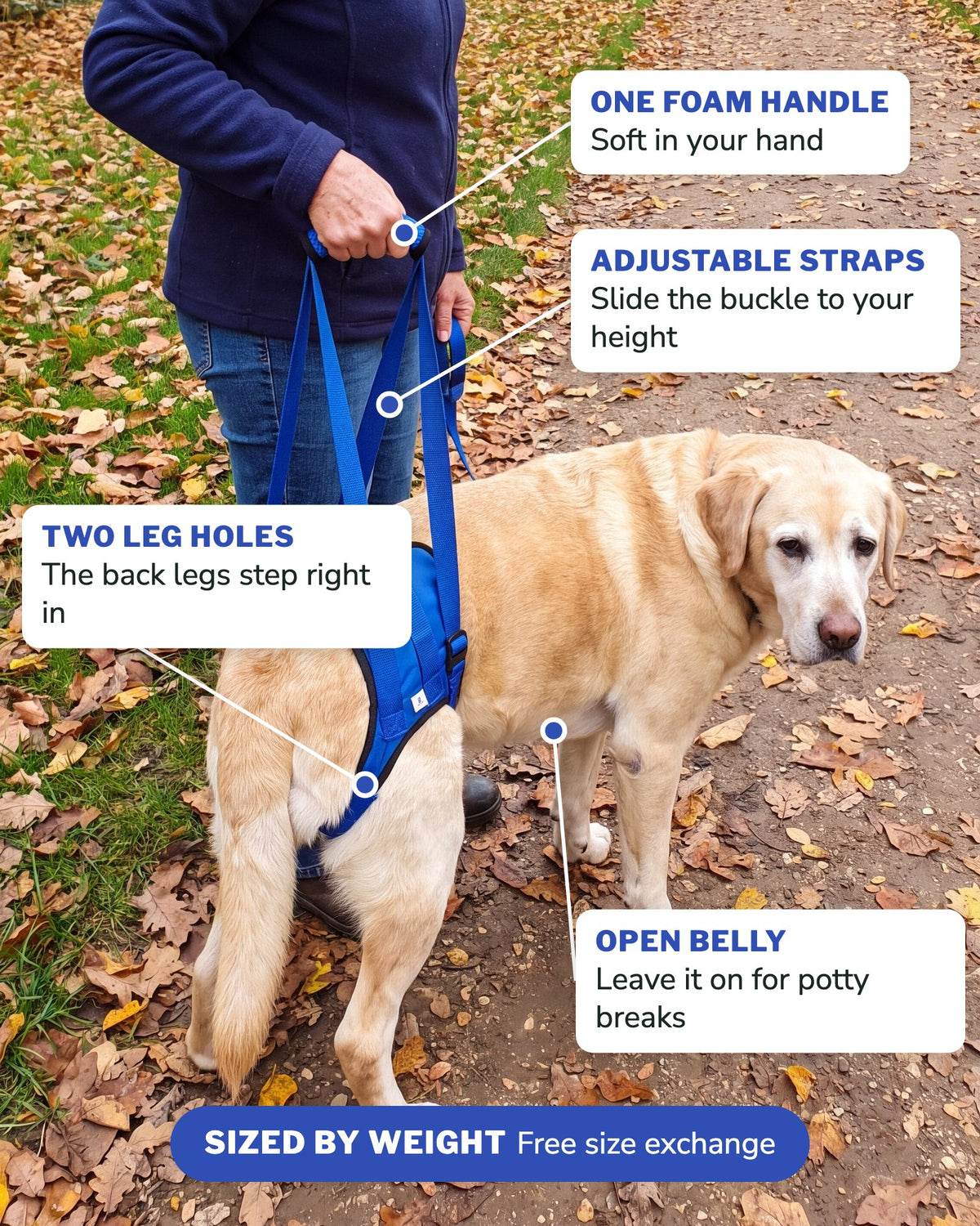 Rear lift harness features: one foam handle, adjustable straps, two leg holes, open belly, sized by weight