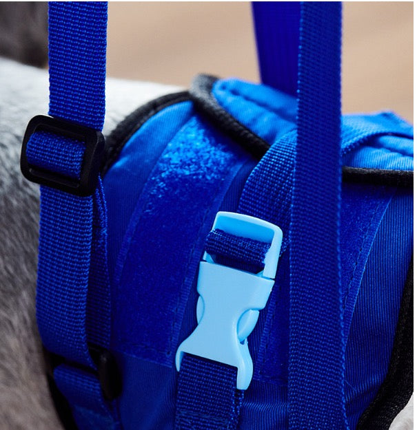 The same dog walking twice: a towel sling sliding down his belly, then a blue rear harness on his back legs